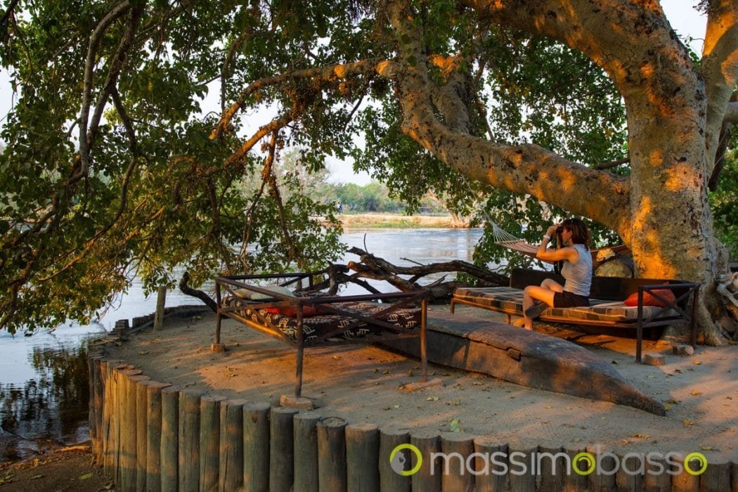 massimo-basso-massimobasso-com-affascinante-lodge-a-maun-2-di-3 campeggio a maun botswana