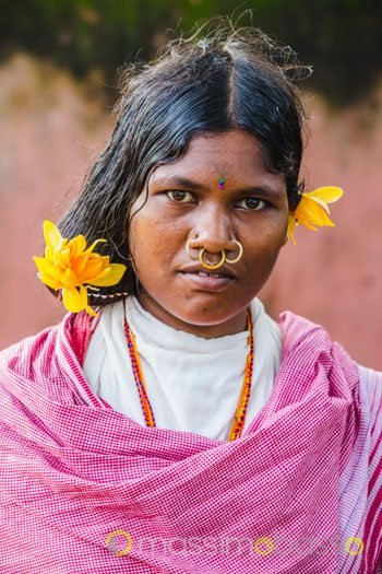 tribu dongria kondh orissa odisha india massimo basso tribù dongria kondh tribù adivasi orissa odisha india